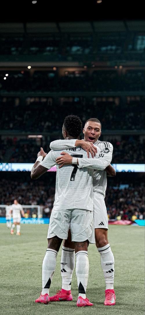 梅州客家因财务危机降级，未能延续奇迹，暴露中国足球现实困境。（财务危机拖垮梅州客家，奇迹止步，折射中国足球的现实困局）